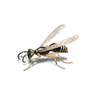 Stinging Pests Treatment