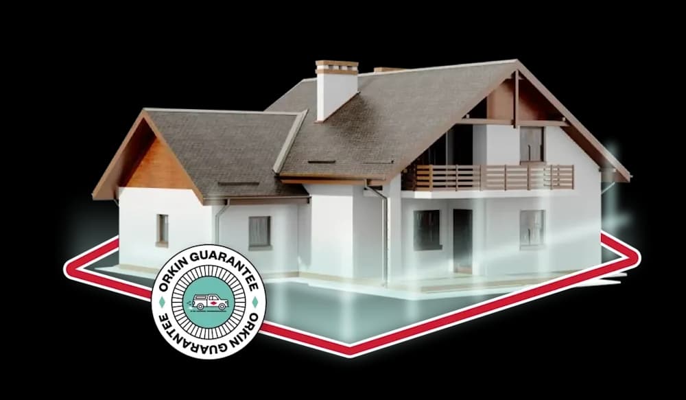 Home illustration with guarantee badge
