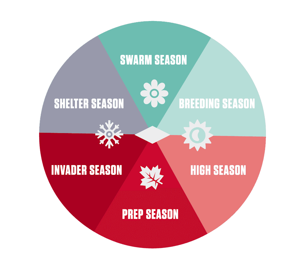 Seasons of pest protection