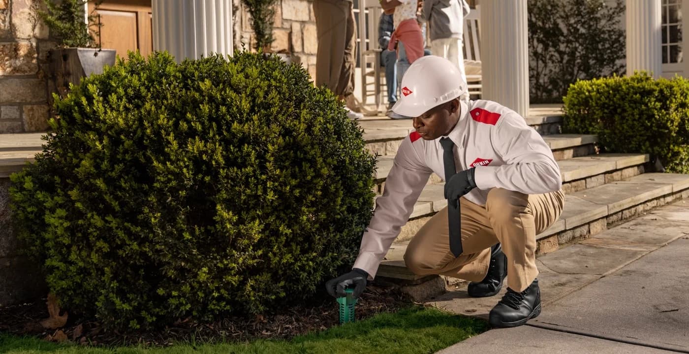 A VectorX specialist inspecting for termites in a customer's front yard